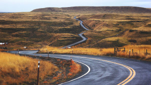 The-Winding-Road