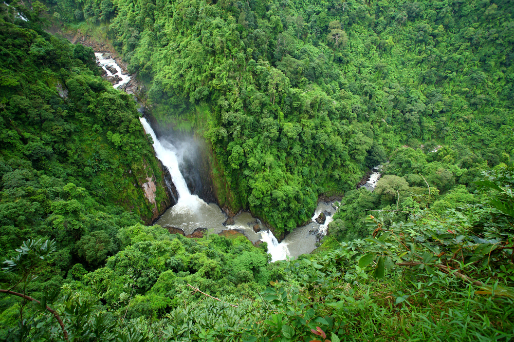 khao-yai-national-park