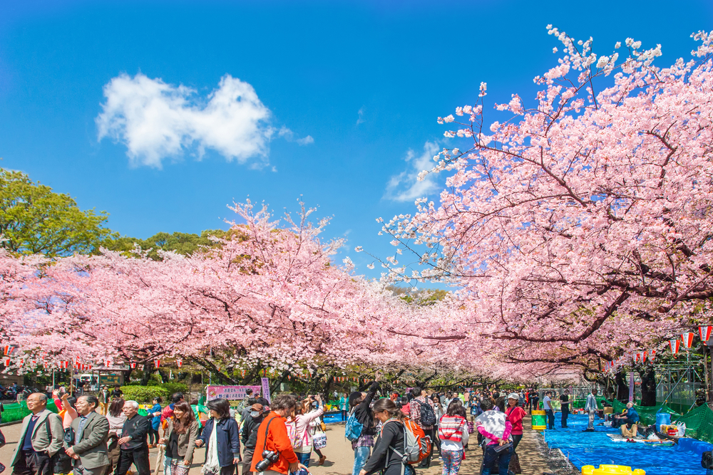 tokyo